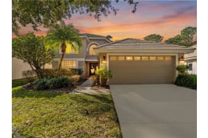 17704\ NATHANS DRIVE, TAMPA, FL 33647 - MLS#MFRTB8460446